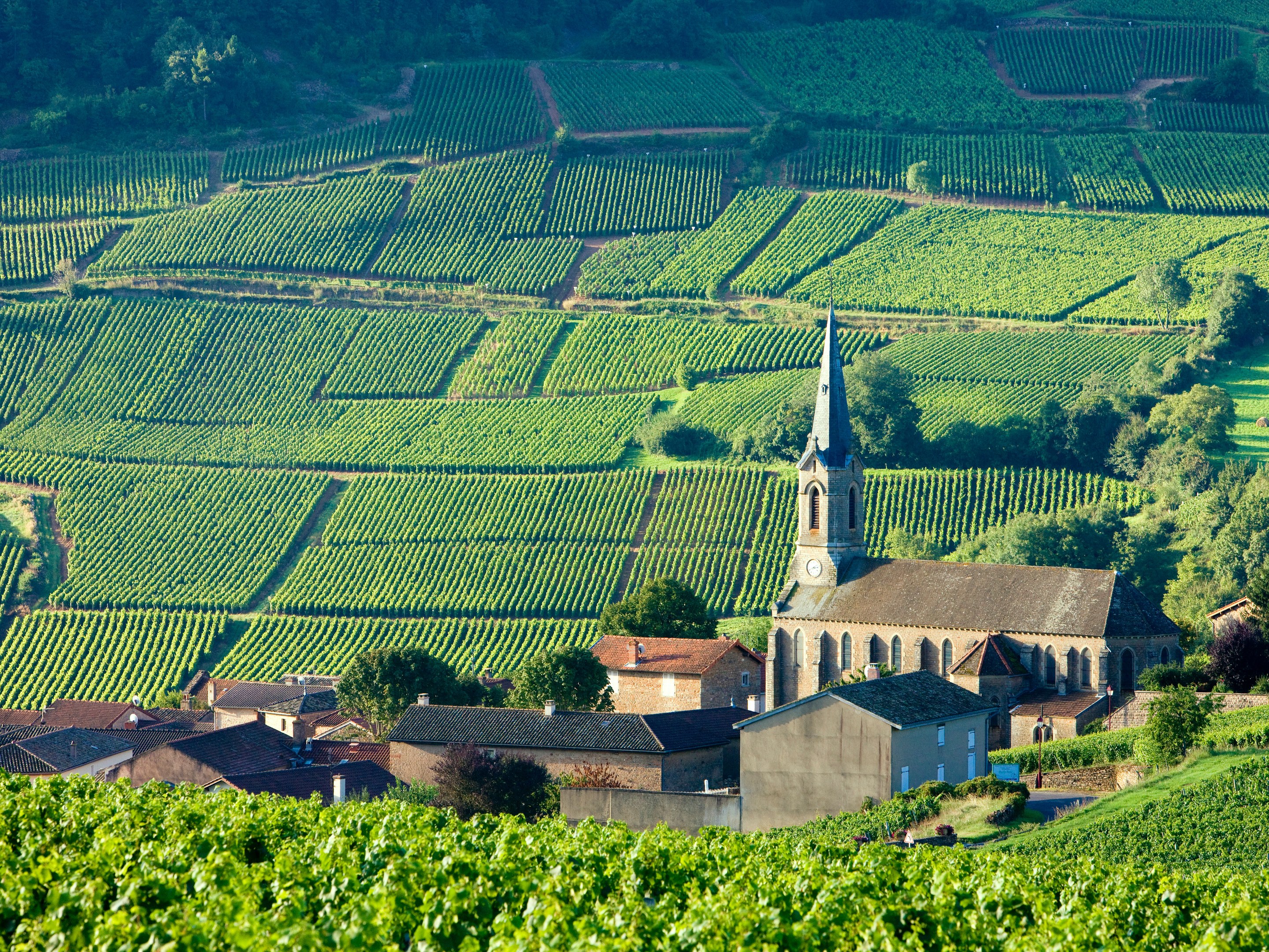 Burgundy-France-GettyImages-98134806_high