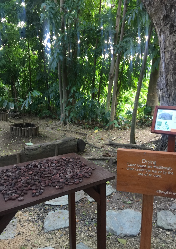 Sommeliers narrate and demonstrate the traditional methods of creating chocolate from cacao beans while walking through the interactive garden 